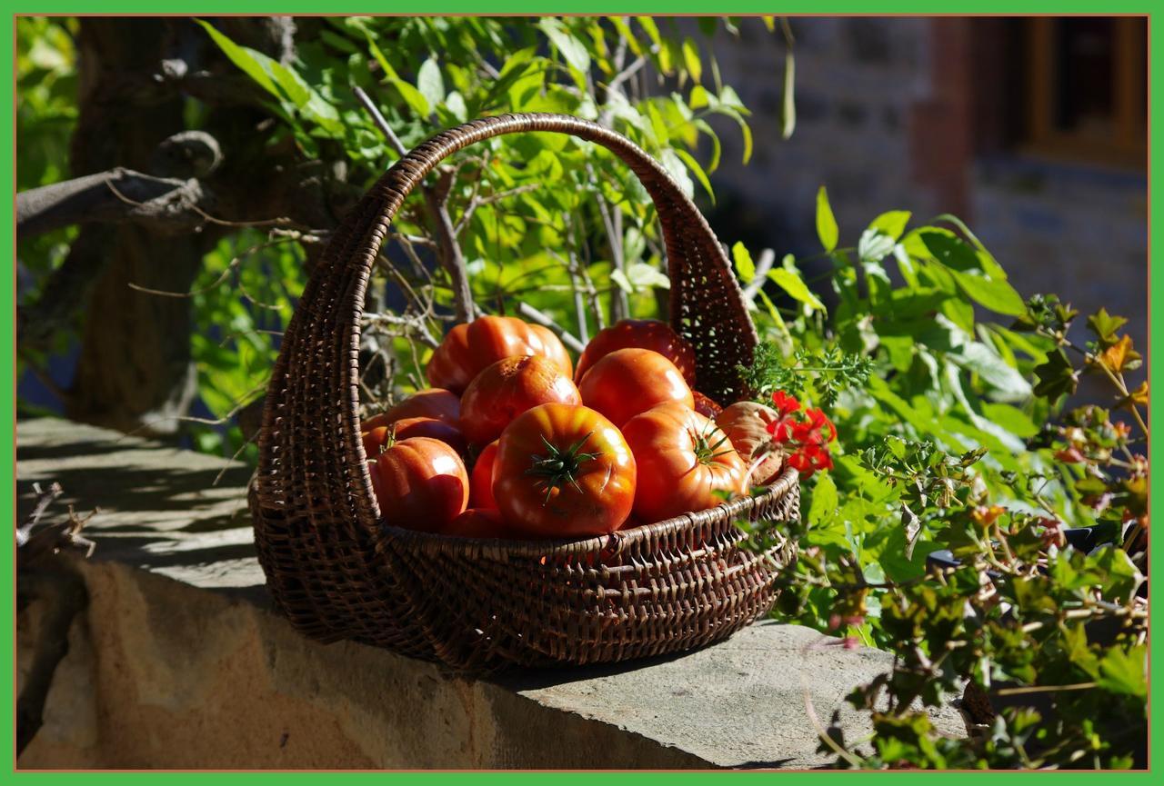 La Prade Basse 82 Bed & Breakfast Saint-Antonin-Noble-Val Luaran gambar